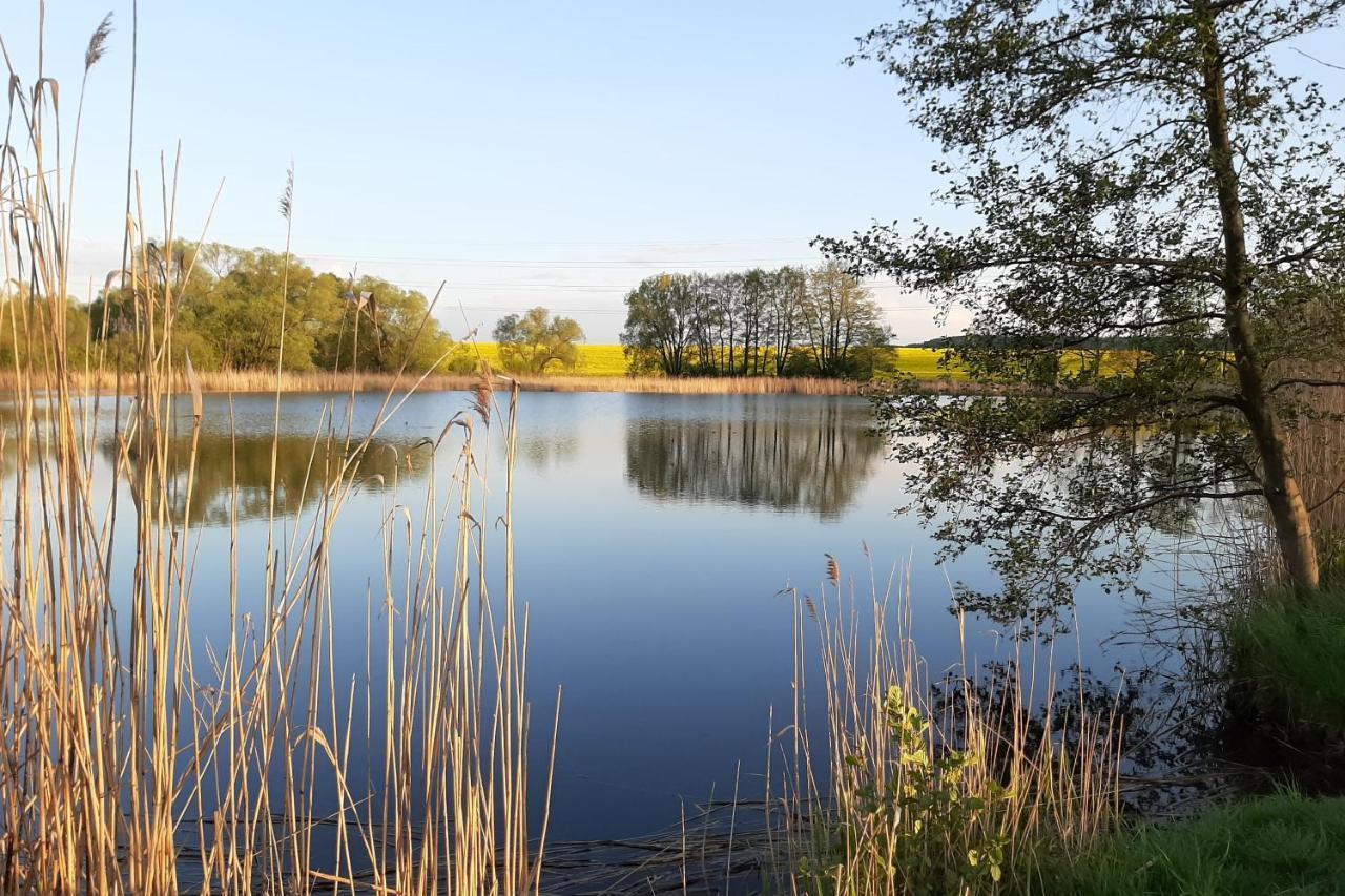 Ubytovani Na Sypce Bela  Exteriör bild